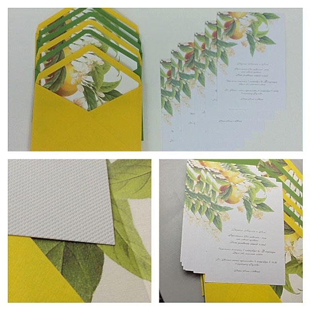 11253264 365728390283978 1182015446 n