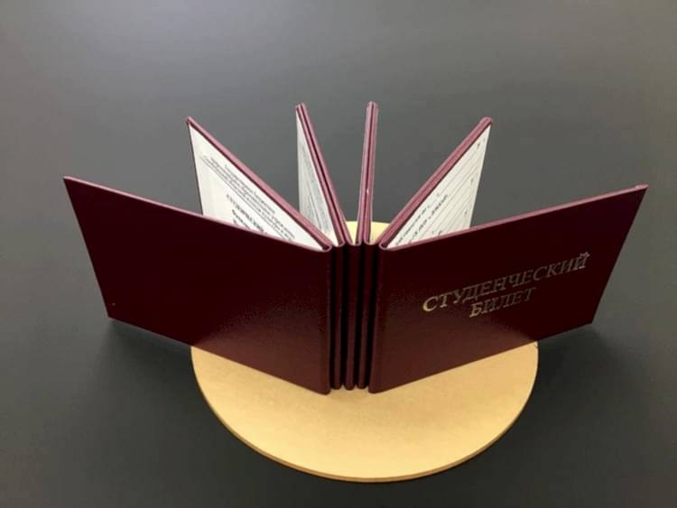 240511790 968291523746480 5086455108051642745 n